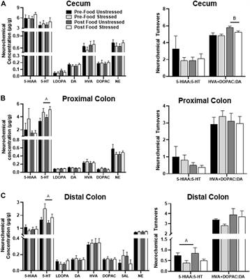 An evaluation of the rat intestinal monoamine biogeography days following exposure to acute stress